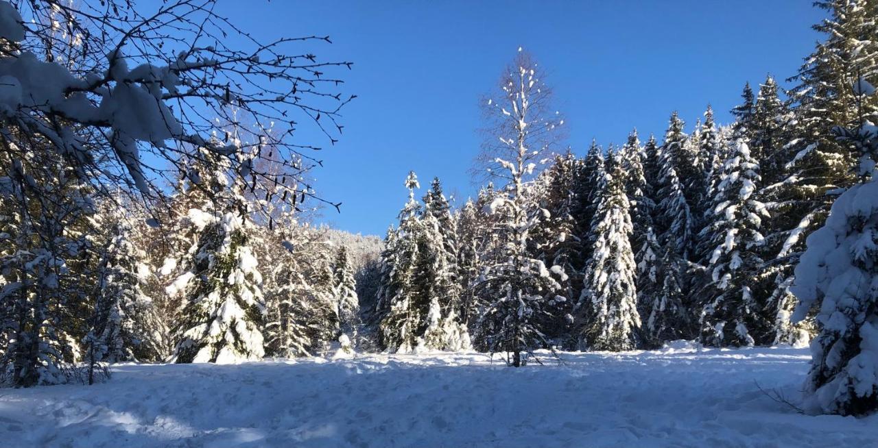 Le Batelier Du Lac Gérardmer Exteriör bild