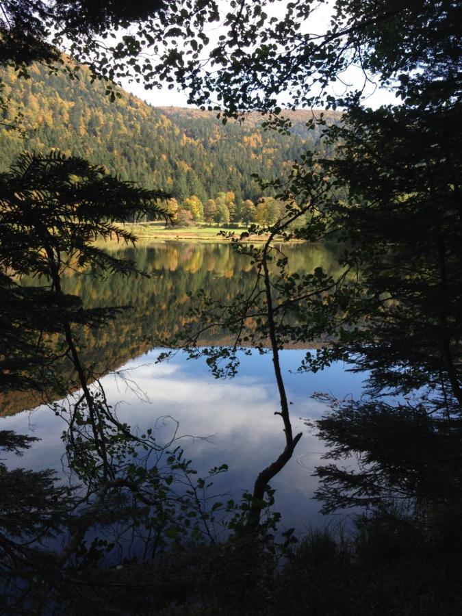 Le Batelier Du Lac Gérardmer Exteriör bild